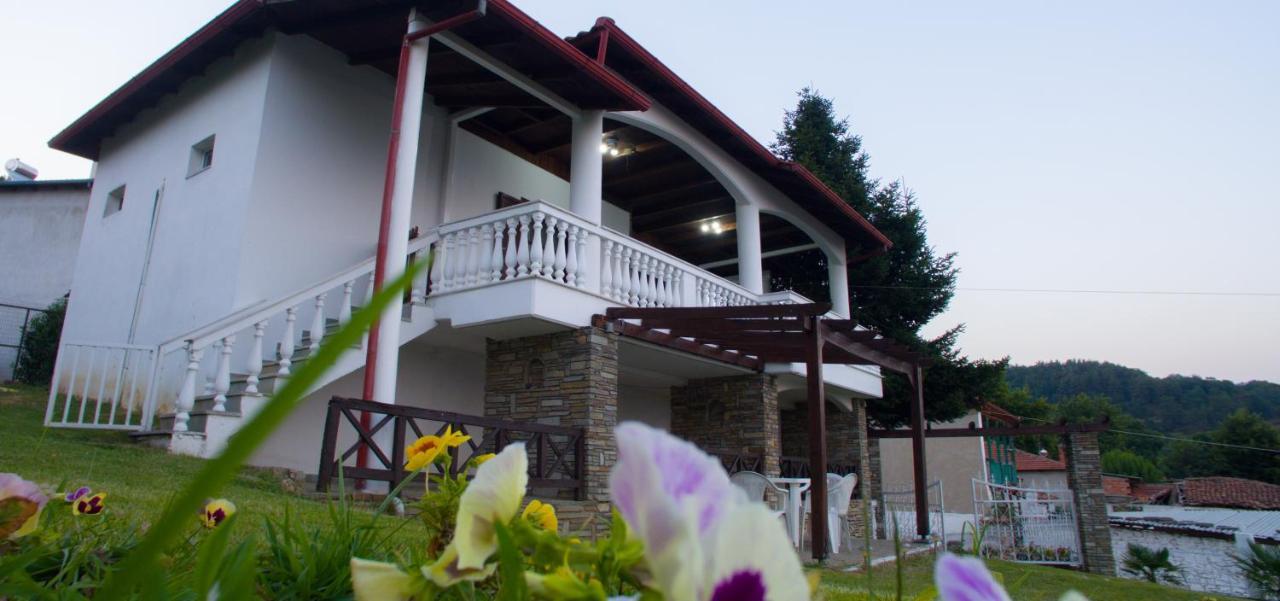 Villa Paradisos Likostomon Kültér fotó