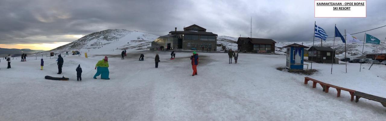 Villa Paradisos Likostomon Kültér fotó