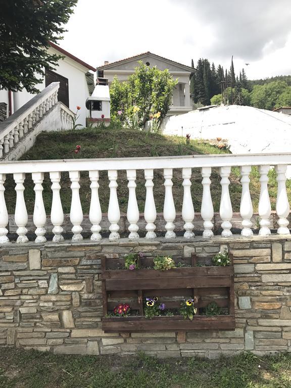 Villa Paradisos Likostomon Kültér fotó